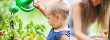 A child pouring water on veggies.