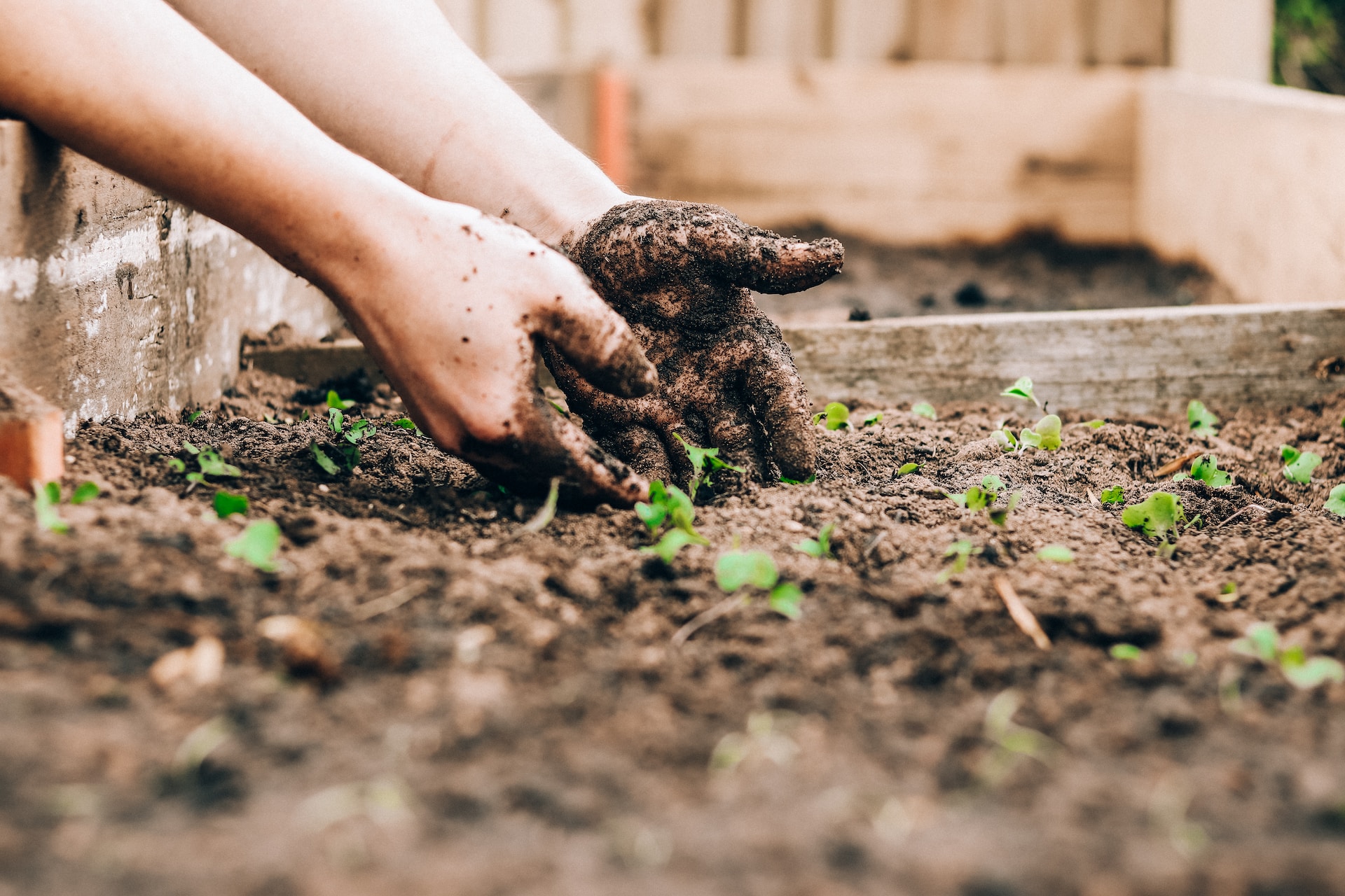 The Pros of Gardening in the Summer