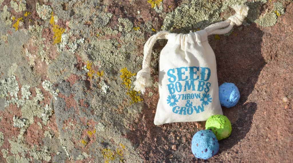 10 Seed Paper Gift Ideas for Every Occasion: Weddings, Birthdays & More